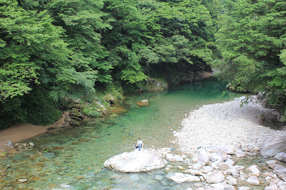 森と清流