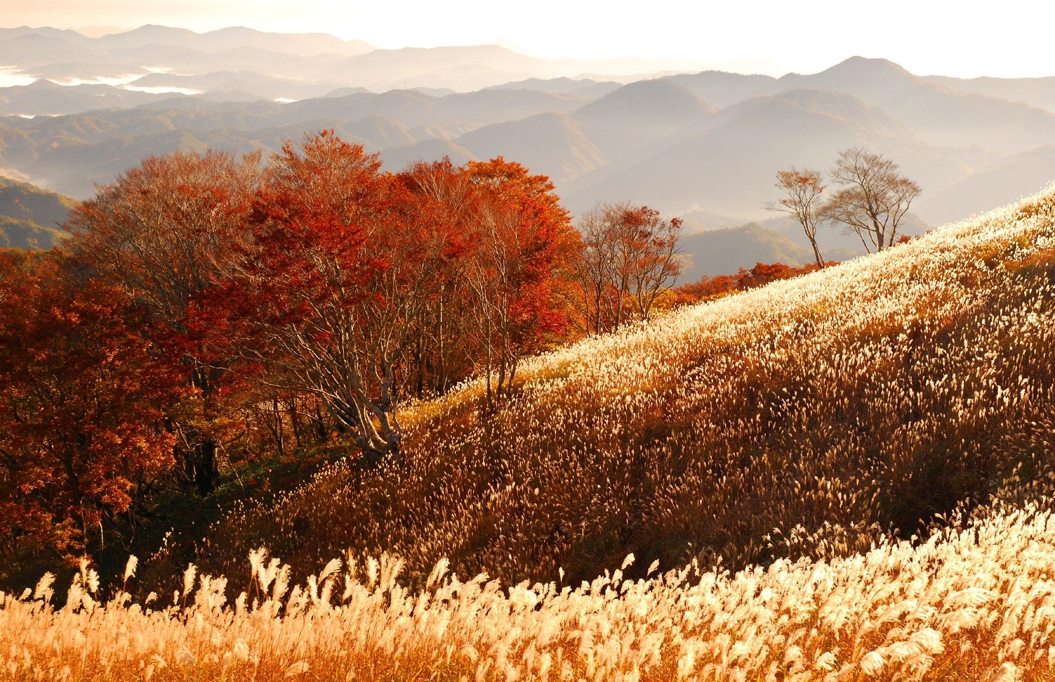 深入山の紅葉