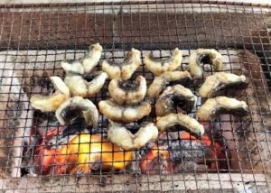 ウナギの網焼きの写真