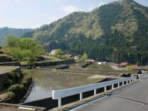 津浪の棚田