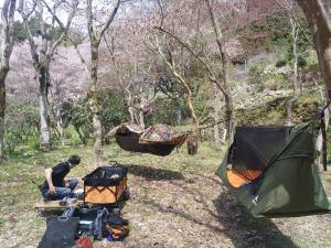 キャンプ画像