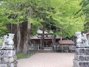 大歳神社の画像