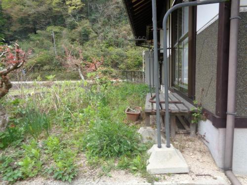 雑種地の画像