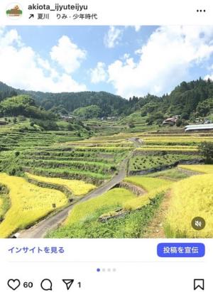 秋の井仁の棚田画像