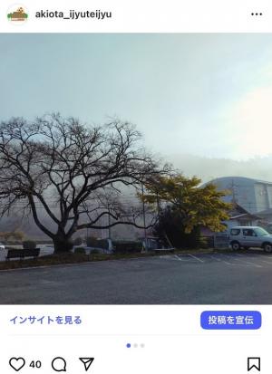 朝霧