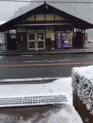 初雪