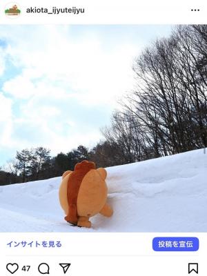 もりみん雪に抱きつく
