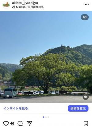 五月晴れ