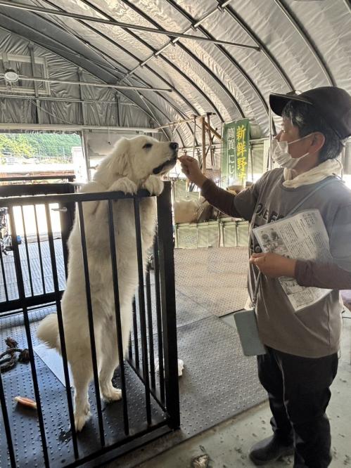 横本さんとレン君の画像